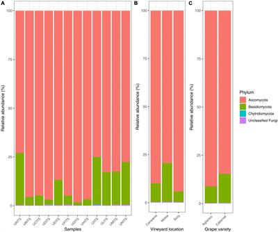 Diversity of fungal communities on Cabernet and Aglianico grapes from vineyards located in Southern Italy